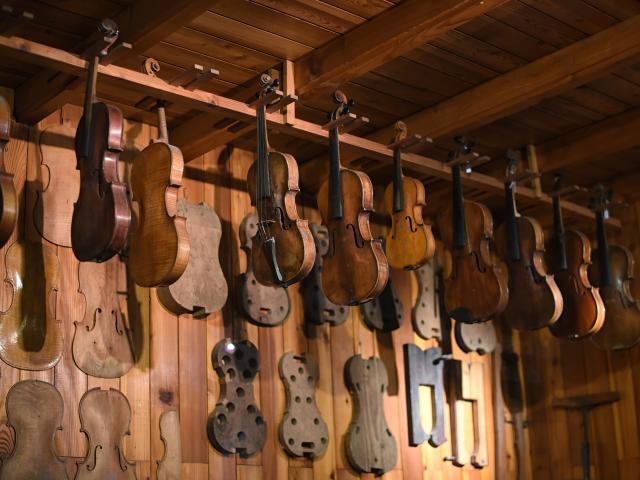 Low angle view of violins with violas hanging in instrument maker workshop