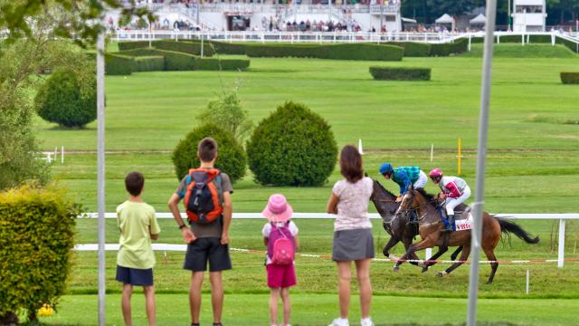 Hippodrome P29 © Jf Hamard Vittel (2)