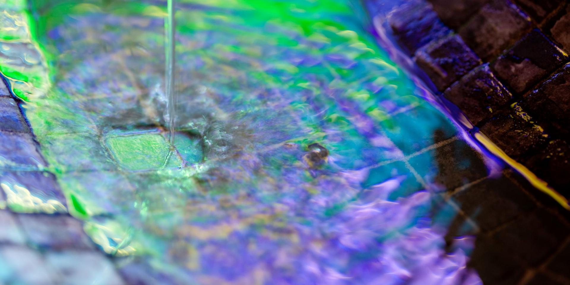 Griffon Source Hepar Small Jf Hamard Vittel