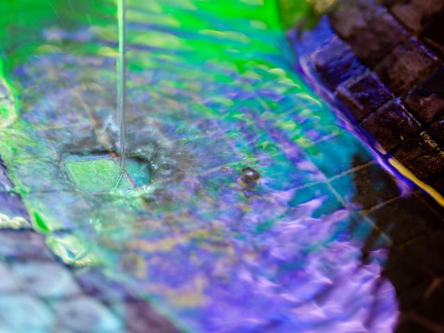 Griffon Source Hepar Small Jf Hamard Vittel