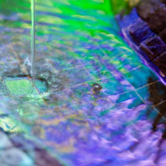 Griffon Source Hepar Small Jf Hamard Vittel