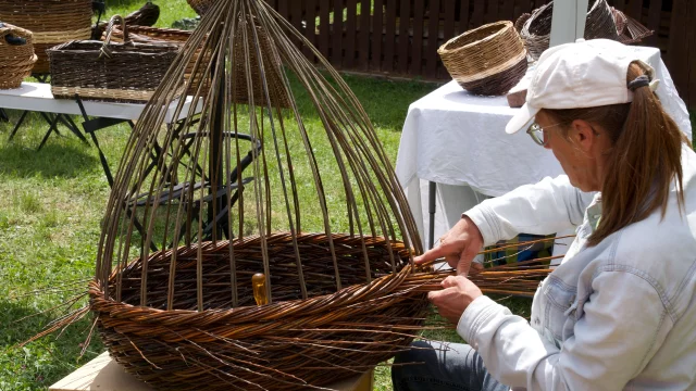 Rencontres autour du saule